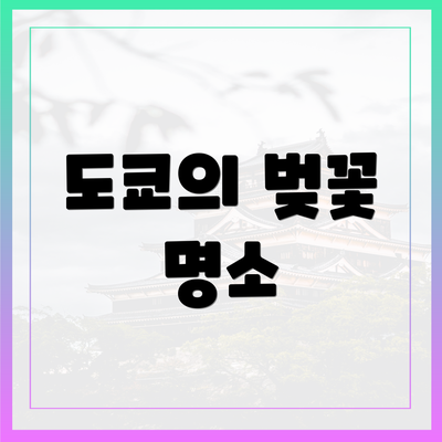도쿄의 벚꽃 명소