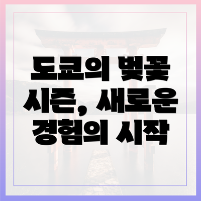 도쿄의 벚꽃 시즌, 새로운 경험의 시작