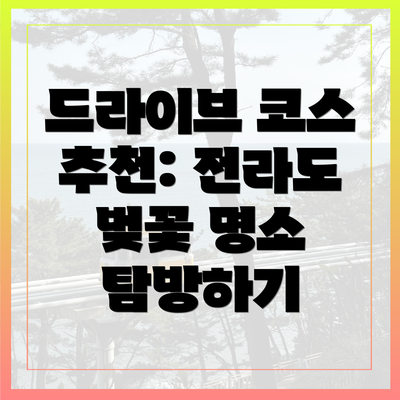 드라이브 코스 추천: 전라도 벚꽃 명소 탐방하기