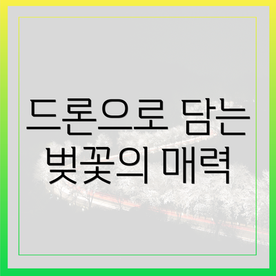 드론으로 담는 벚꽃의 매력