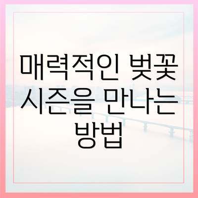 매력적인 벚꽃 시즌을 만나는 방법
