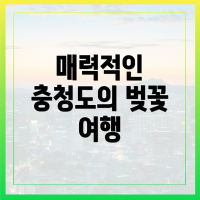 매력적인 충청도의 벚꽃 여행