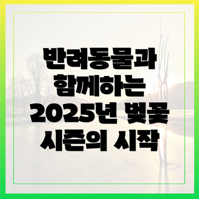 반려동물과 함께하는 2025년 벚꽃 시즌의 시작