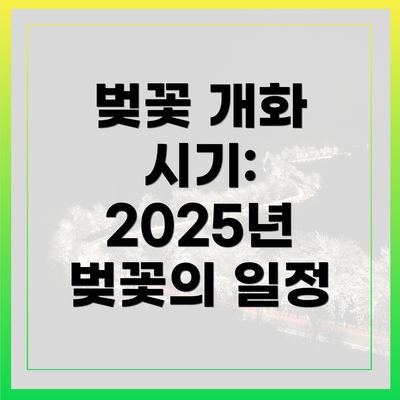 벚꽃 개화 시기: 2025년 벚꽃의 일정