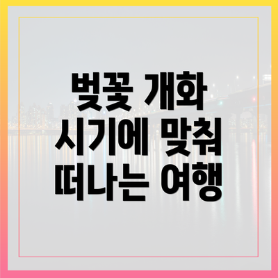 벚꽃 개화 시기에 맞춰 떠나는 여행