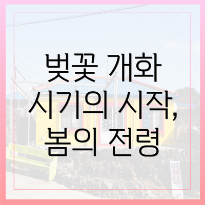 벚꽃 개화 시기의 시작, 봄의 전령