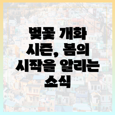 벚꽃 개화 시즌, 봄의 시작을 알리는 소식