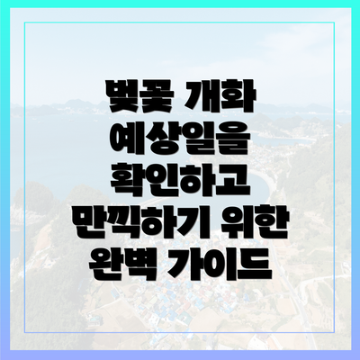 벚꽃 개화 예상일을 확인하고 만끽하기 위한 완벽 가이드