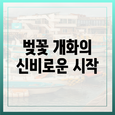 벚꽃 개화의 신비로운 시작
