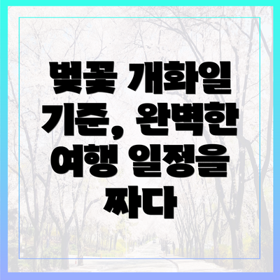 벚꽃 개화일 기준, 완벽한 여행 일정을 짜다