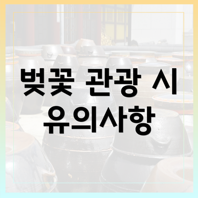 벚꽃 관광 시 유의사항