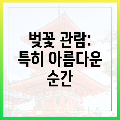 벚꽃 관람: 특히 아름다운 순간