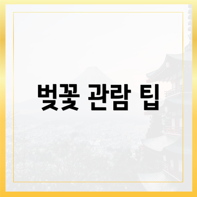 벚꽃 관람 팁
