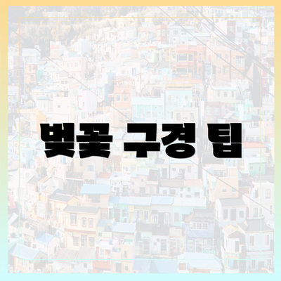 벚꽃 구경 팁