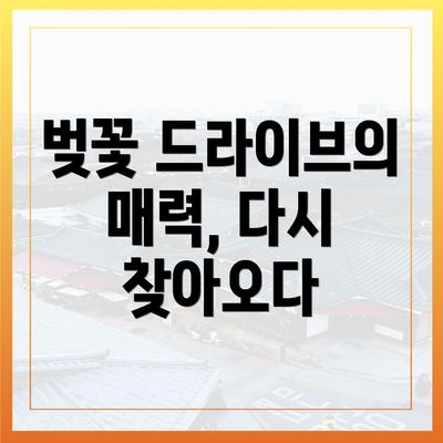 벚꽃 드라이브의 매력, 다시 찾아오다