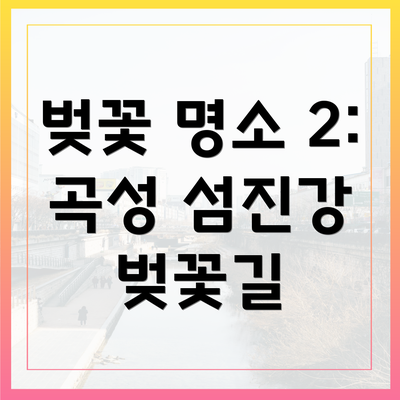 벚꽃 명소 2: 곡성 섬진강 벚꽃길