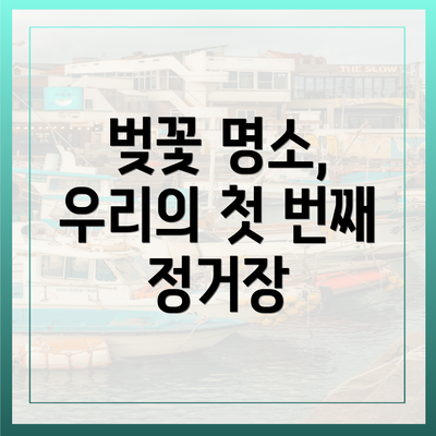 벚꽃 명소, 우리의 첫 번째 정거장