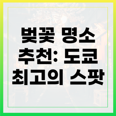 벚꽃 명소 추천: 도쿄 최고의 스팟