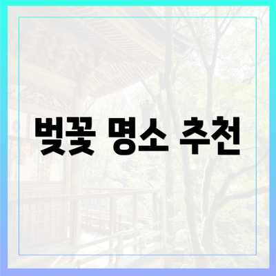 벚꽃 명소 추천