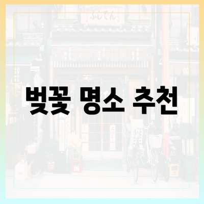 벚꽃 명소 추천