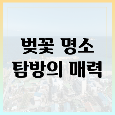 벚꽃 명소 탐방의 매력