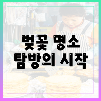 벚꽃 명소 탐방의 시작