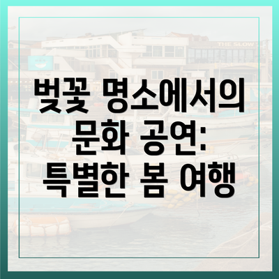 벚꽃 명소에서의 문화 공연: 특별한 봄 여행