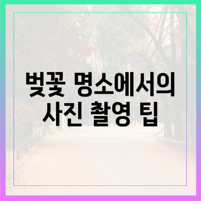 벚꽃 명소에서의 사진 촬영 팁