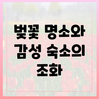 벚꽃 명소와 감성 숙소의 조화