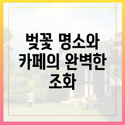 벚꽃 명소와 카페의 완벽한 조화