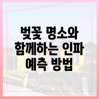 벚꽃 명소와 함께하는 인파 예측 방법