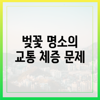 벚꽃 명소의 교통 체증 문제