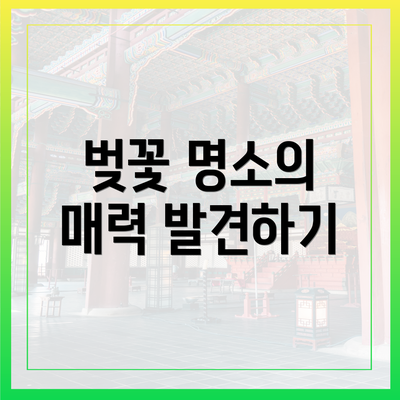 벚꽃 명소의 매력 발견하기
