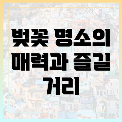 벚꽃 명소의 매력과 즐길 거리