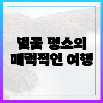벚꽃 명소의 매력적인 여행