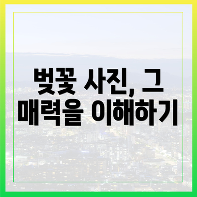 벚꽃 사진, 그 매력을 이해하기