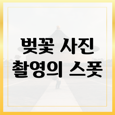 벚꽃 사진 촬영의 스폿