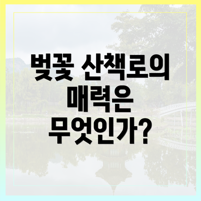 벚꽃 산책로의 매력은 무엇인가?