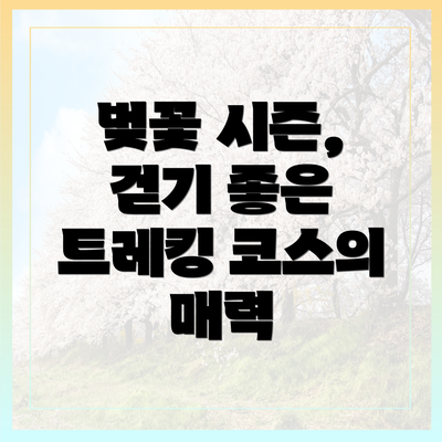 벚꽃 시즌, 걷기 좋은 트레킹 코스의 매력