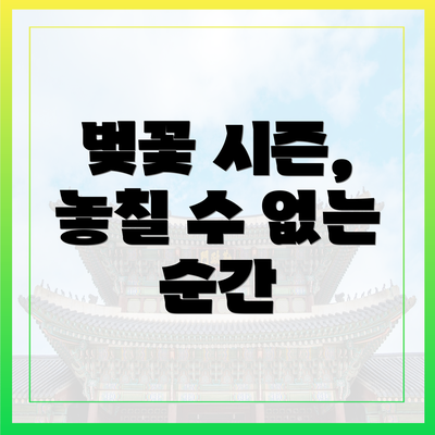 벚꽃 시즌, 놓칠 수 없는 순간
