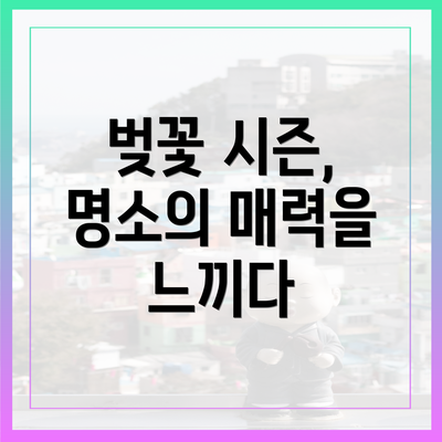 벚꽃 시즌, 명소의 매력을 느끼다