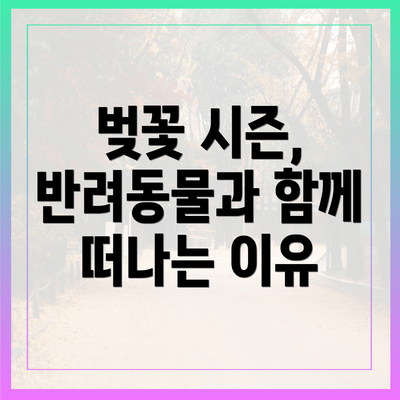 벚꽃 시즌, 반려동물과 함께 떠나는 이유