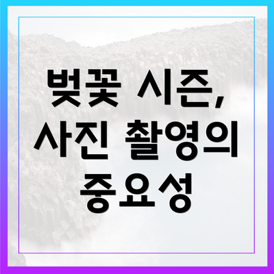 벚꽃 시즌, 사진 촬영의 중요성