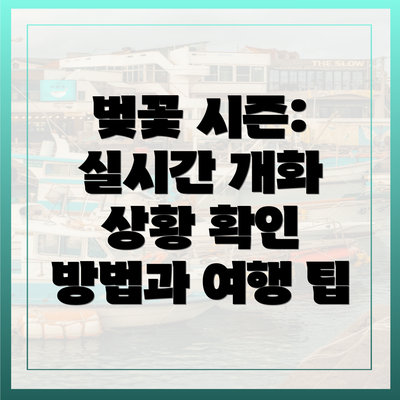 벚꽃 시즌: 실시간 개화 상황 확인 방법과 여행 팁