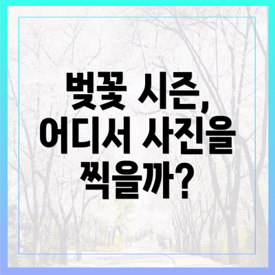 벚꽃 시즌, 어디서 사진을 찍을까?