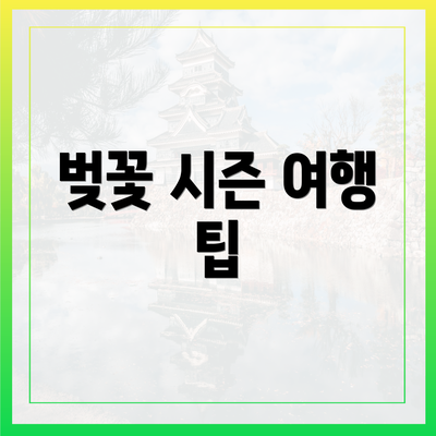 벚꽃 시즌 여행 팁