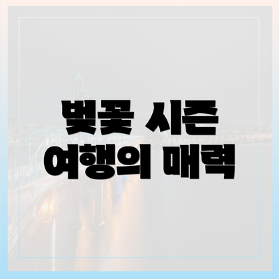 벚꽃 시즌 여행의 매력