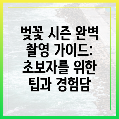 벚꽃 시즌 완벽 촬영 가이드: 초보자를 위한 팁과 경험담