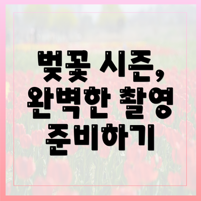 벚꽃 시즌, 완벽한 촬영 준비하기