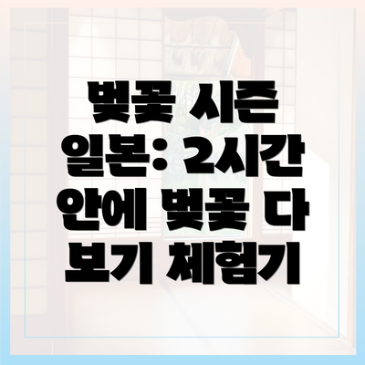 벚꽃 시즌 일본: 2시간 안에 벚꽃 다 보기 체험기